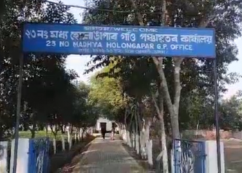 Holong par Gaon Panchayat