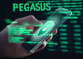 Pegasus new