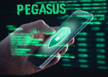 Pegasus new