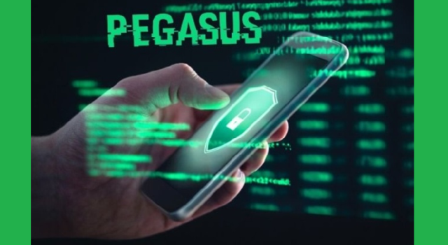 Pegasus new
