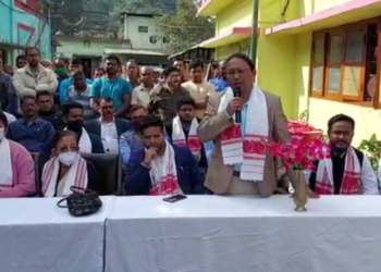 Silghat Jute mill