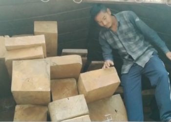 কোকৰাঝাৰ বিছমুৰীত বৃহৎ পৰিমাণৰ বাৰ্মিজ চেগুন ভৰ্তি ট্ৰাক জব্দ