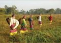 ফানেং গাৱঁৰ মধুৰ স্মৃতি…