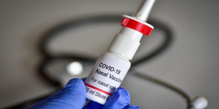 COVID-19 intra-nasal vaccine
