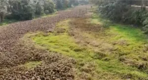 Kalang river scheme.png2