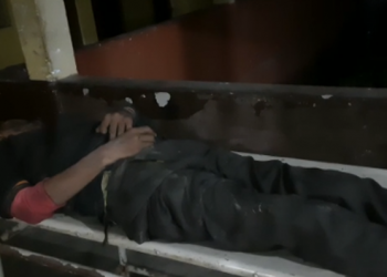 Pedastrian died