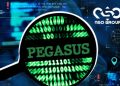 Pegasus