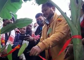 Akhil Gogoi