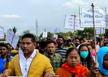 Kaziranga animal corridor