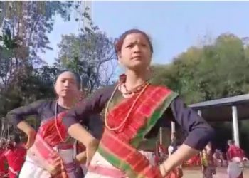 দিচাংমুখ চুমনী গাঁৱত আলি আই লৃগাং উৎসৱ উদযাপনৰ ব্যাপক প্ৰস্তুতি