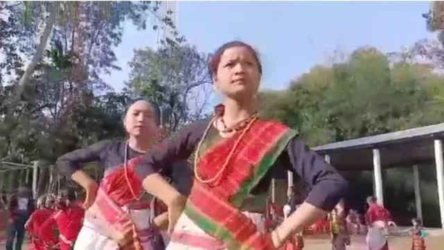 দিচাংমুখ চুমনী গাঁৱত আলি আই লৃগাং উৎসৱ উদযাপনৰ ব্যাপক প্ৰস্তুতি