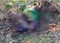বিহালীৰ বৰাজুলীত বাঘ খেদিবলৈ যোৱা লোকৰ অৰ্ধ গলিত মৃতদেহ উদ্ধাৰকলৈ চাঞ্চল্য