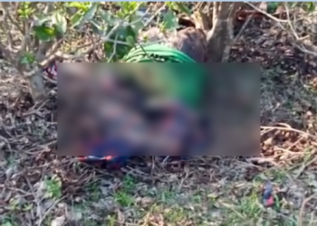 বিহালীৰ বৰাজুলীত বাঘ খেদিবলৈ যোৱা লোকৰ অৰ্ধ গলিত মৃতদেহ উদ্ধাৰকলৈ চাঞ্চল্য