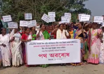 এইবাৰ আহোম যুগৰ ঐতিহাসিক ৰংচাই বিলত শেনচকু ভূ মাফিয়াৰ