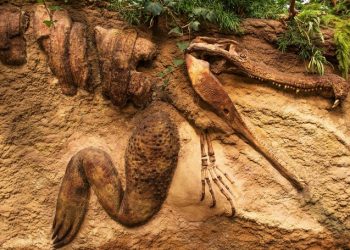 crocodile ate dinosaur for its last meal