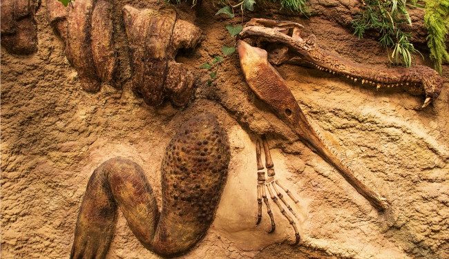 crocodile ate dinosaur for its last meal