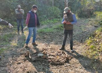 কাজিৰঙা ৰাষ্ট্ৰীয় উদ্যানত ঢেকীয়াপতীয়া বাঘৰ কংকাল উদ্ধাৰকলৈ চাঞ্চল্য
