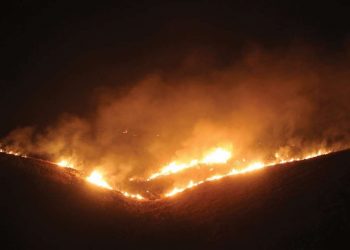 Massive fire breaks out at Sariska Tiger Reserve