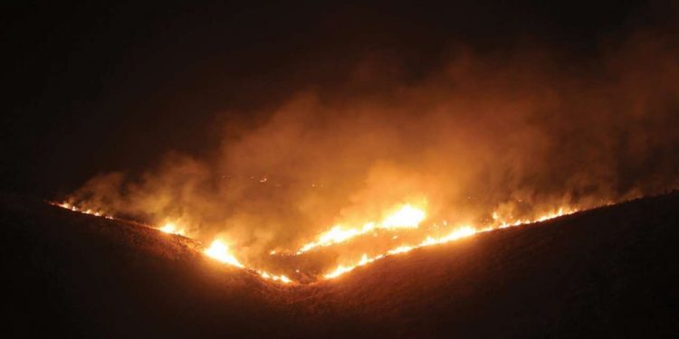 Massive fire breaks out at Sariska Tiger Reserve