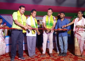 নৃত্যই-গীতে জীপাল হৈ উঠিল হাৰকাটা হিন্দুপাৰাৰ পঞ্চম দৌল উৎসৱ