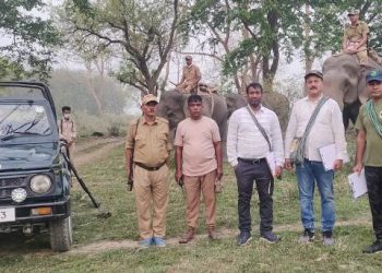 চাৰি বছৰৰ ভিতৰত ওৰাং ৰাষ্ট্ৰীয় উদ্যানত গঁড়ৰ সংখ্যা ২৪ টালৈ বৃদ্ধি