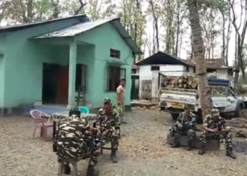 Tamulpur forest news