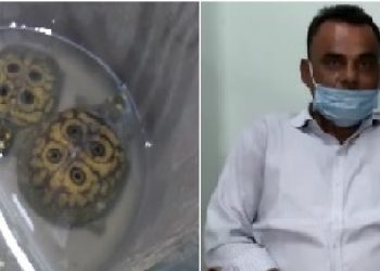 Meat with turtle recovered in Jorhat