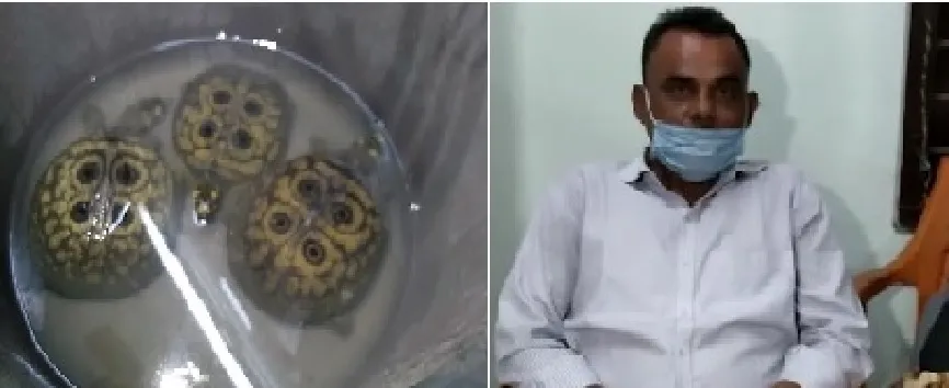 Meat with turtle recovered in Jorhat