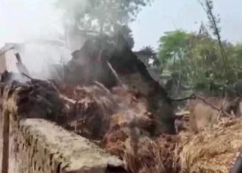 Mob in West Bengal