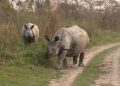 Kaziranga National Park