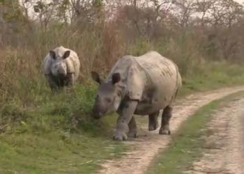 Kaziranga National Park