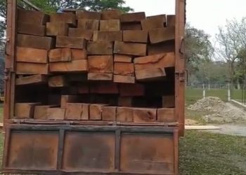 কাজিৰঙাত চোৰাং কাঠসহ বাহন জব্দ