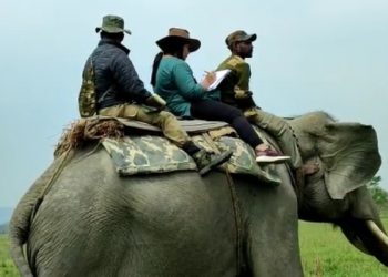কাজিৰঙা ৰাষ্ট্ৰীয় উদ্যানৰ কলিয়াবৰৰ বুঢ়াপাহাৰ বনাঞ্চলত গঁড় গণনা আৰম্ভ