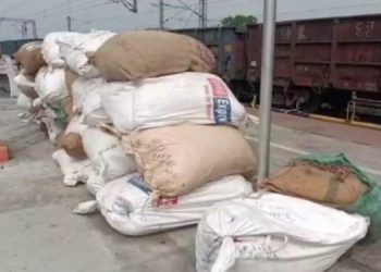 নিউ বঙাইগাঁও ৰে’লৱে জংচনত ৰে’লৰ পৰা বৃহৎ পৰিমাণৰ বাৰ্মিজ চুপাৰি জব্দ