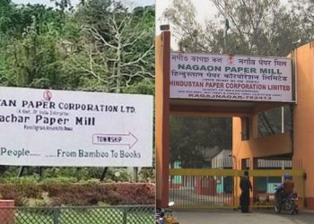 Cachar and Nagaon paper mills