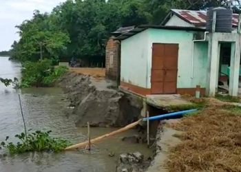 প্রতিশ্ৰুতিৰ বানপানী আৰু গৰাখহনীয়া