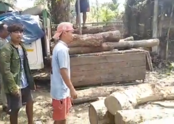 ৰংজুলিত চোৰাং কাঠৰ ৰমৰমীয়া ব্যৱসায়; ৰাইজে জব্দ কৰিলে ৭০ লক্ষাধিক টকাৰ শাল কাঠৰ কুণ্ডা