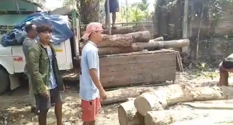 ৰংজুলিত চোৰাং কাঠৰ ৰমৰমীয়া ব্যৱসায়; ৰাইজে জব্দ কৰিলে ৭০ লক্ষাধিক টকাৰ শাল কাঠৰ কুণ্ডা