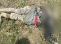 man trampled to death by elephant