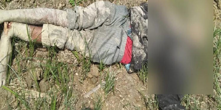man trampled to death by elephant