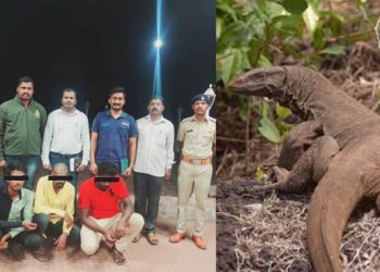 Four people arrested for raping a lizard