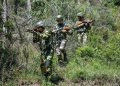 Terrorist killed in J&K