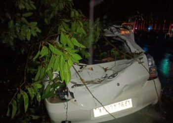 কলিয়াবৰত ধুমুহাৰ তাণ্ডৱ: চলন্ত বাহনৰ ওপৰতে উভালি পৰিল গছ