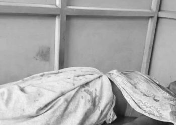 মহানগৰীৰ পাণ্ডুত নাহৰফুটুকী বাঘৰ আক্ৰমণত মহিলা আহত