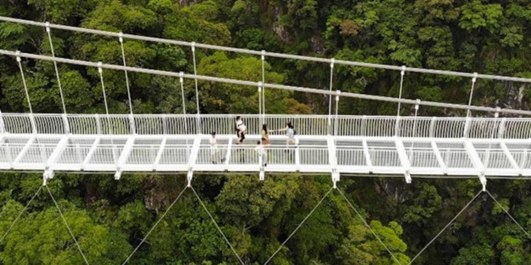 World's Longest Glass-Bottomed Bridge