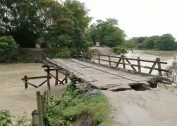 হাজোত বৰলীয়া নৈৰ কোৱাল সোঁতে উটুৱাই নিলে কাঠৰ দলং