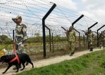 ভাৰত-বাংলাদেশ সীমান্তৰ পৰা ১৪ জন ৰহিংগীয়া লোকক আটক