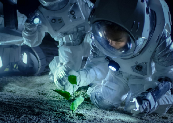 Plants grow in the moon's soil