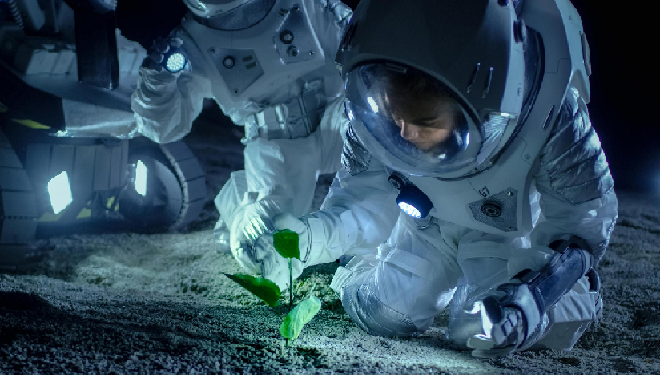 Plants grow in the moon's soil