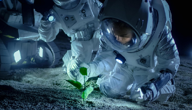 Plants grow in the moon's soil